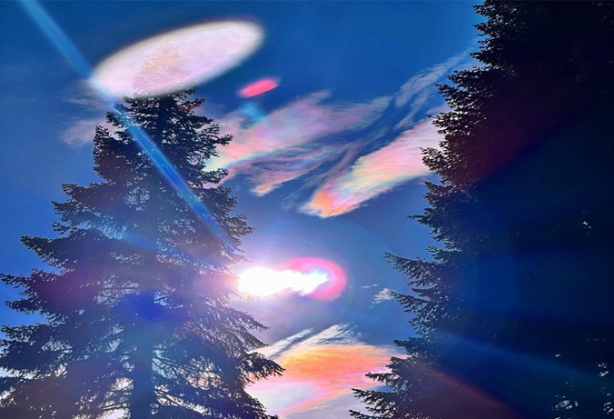 Tall evergreen trees against a blue sky, with colorful light refractions and lens flares near the bright sun, creating a serene mood.
