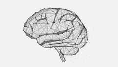 Develop a Financial Brain to Fuel Long-Term Success and Growth