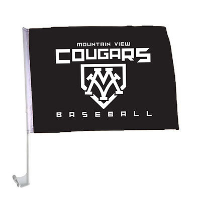 MV_CarFlag.jpg
