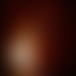    la lampe éteinte - le cahier bleu