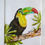 Thumbnail: Toucan