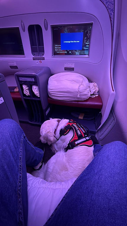 WhatsApp Image 2026-01-20 at 12.09.57.jpeg