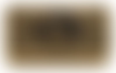 H χρυσή ταμπακιέρα του Καποδίστρια