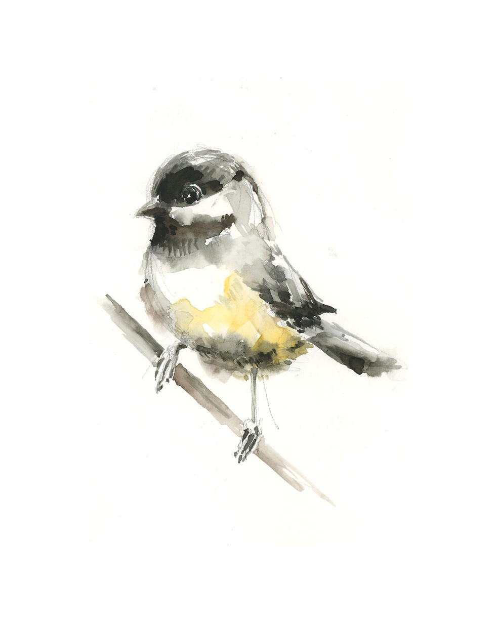 little chickadee
