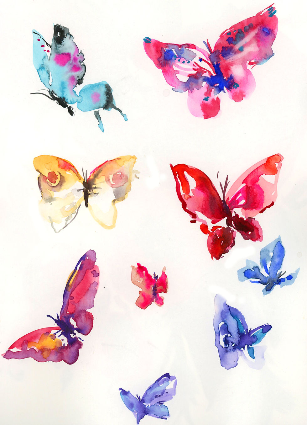 butterflies
