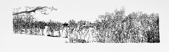 northern kentucky landscape.jpg