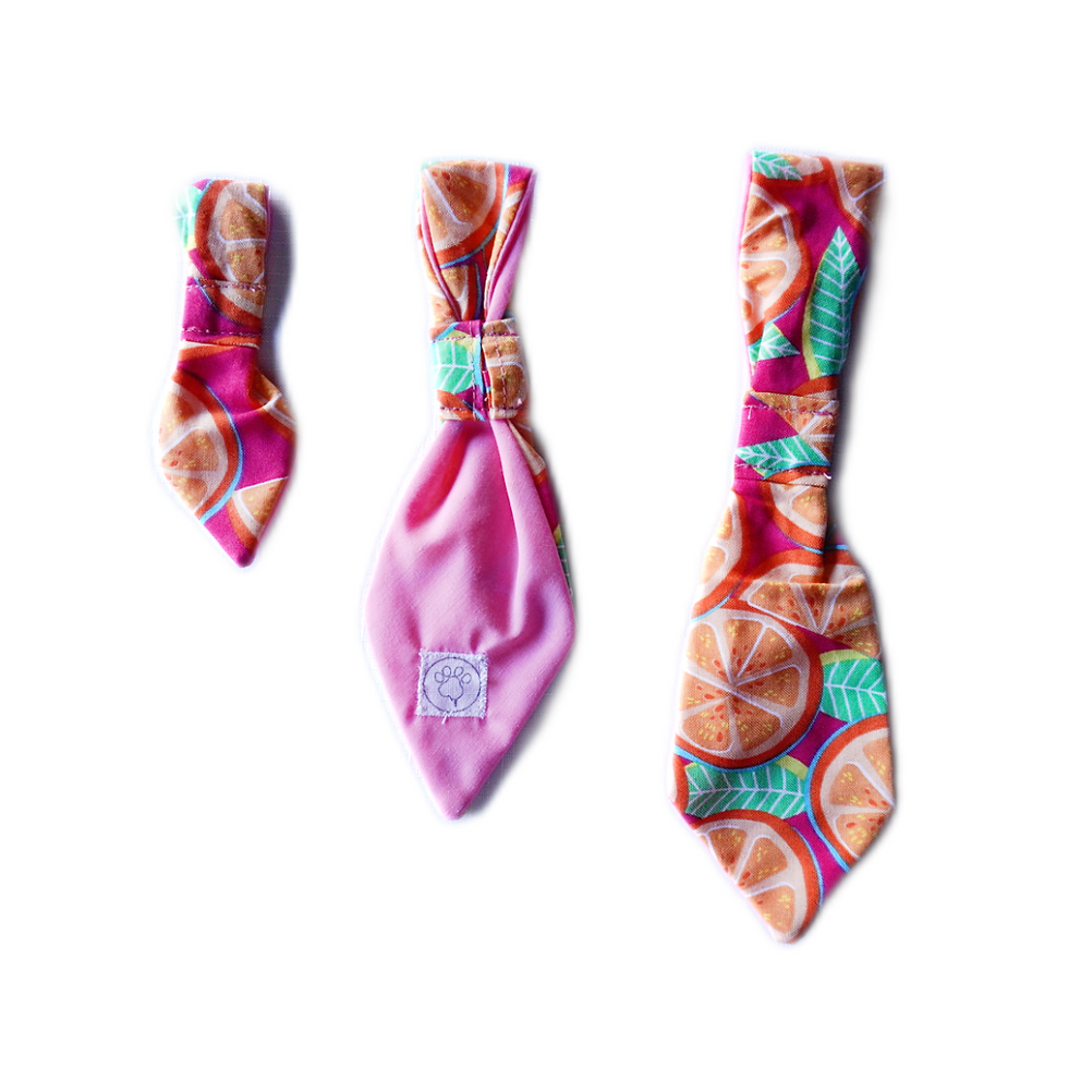Thumbnail: Slice of Orange - Ties