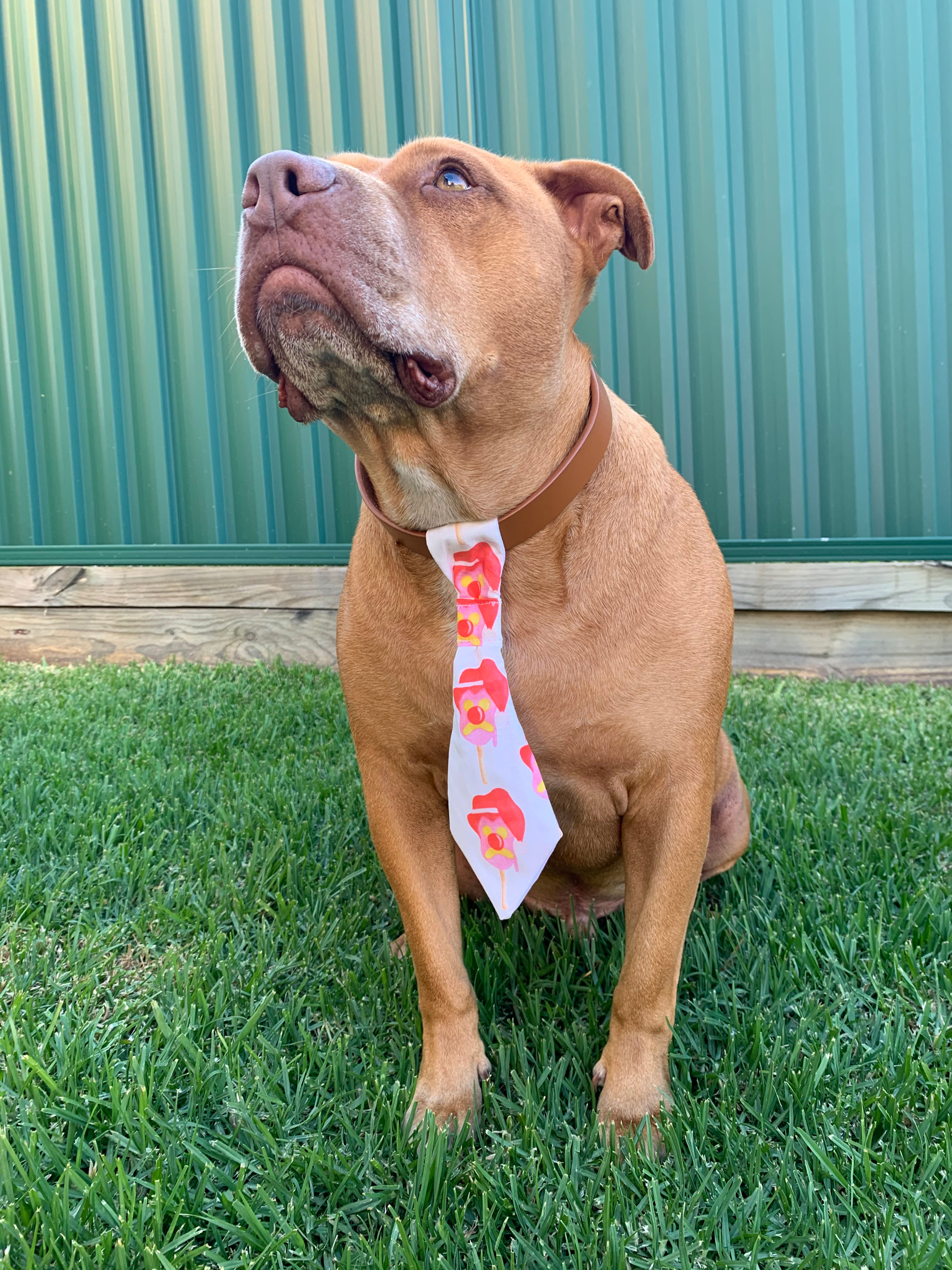 Santa Bubble HO Bill - Ties