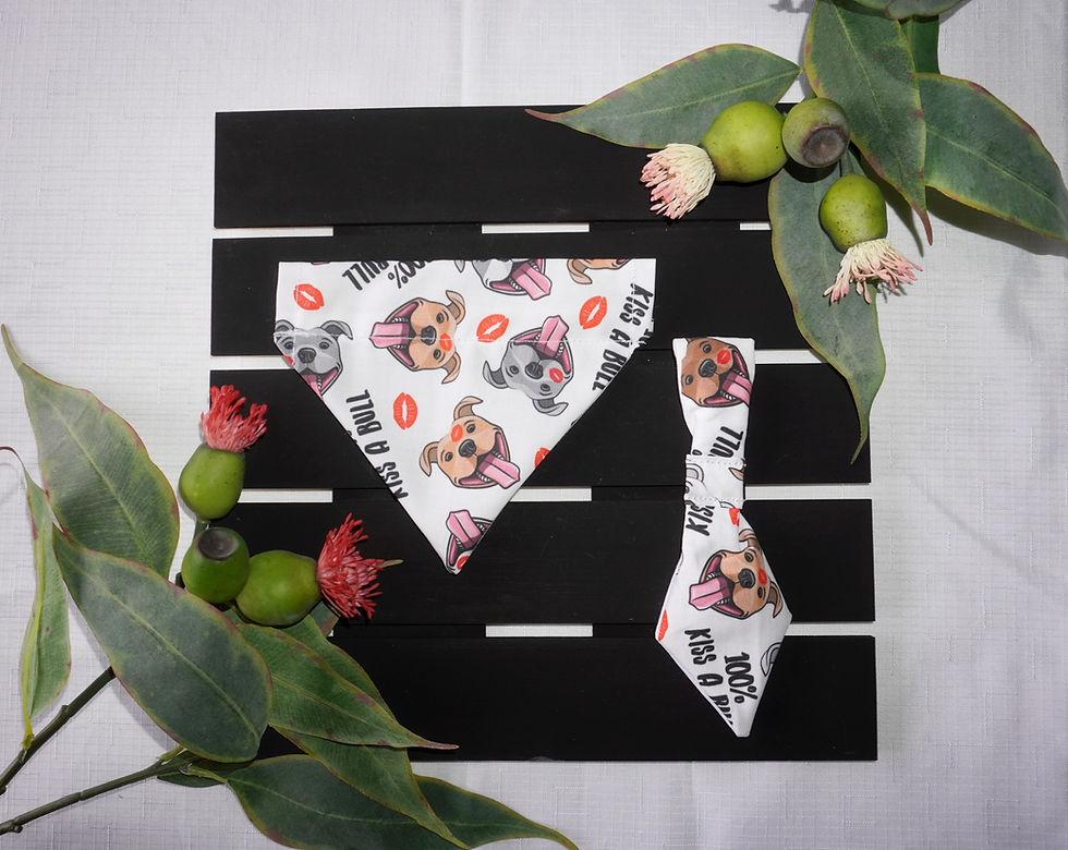 Thumbnail: 100% Kiss-A-Bull - Ties