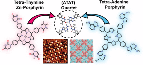 Controlling the Two-Dimensional Self-Assembly of Functionalized Porphyrins via Adenine–Thymine Quart