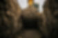 AdobeStock_568987745.jpeg