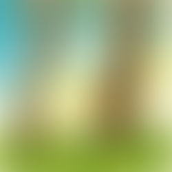 Poème pour les « trop » sensibles