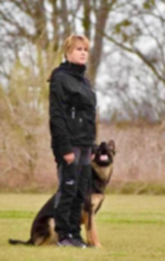 Shuster K9 Academy dog training Austin, TX (3).jpg