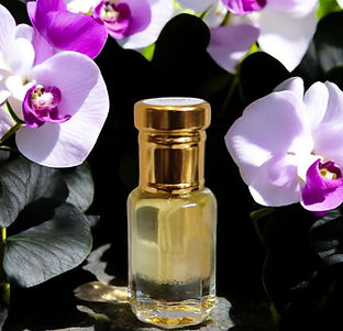 Black Orchid Oud-_edited_edited_edited.jpg