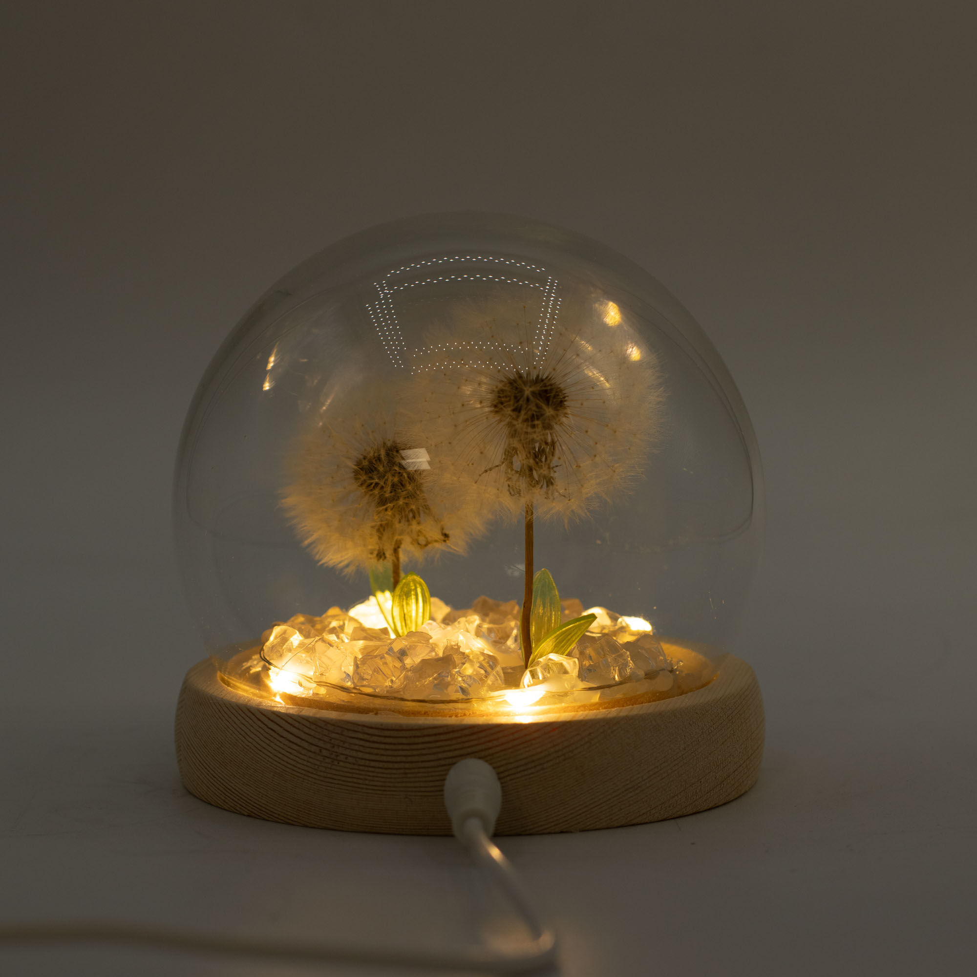 2 Dandelion - Glow Dome - 100mm - USB
