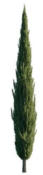 cyprus.png