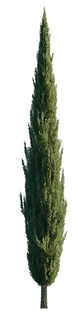 cyprus.png