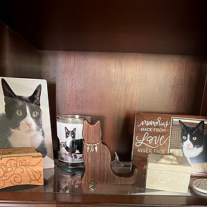 Cat Paw Print 2 (1).png