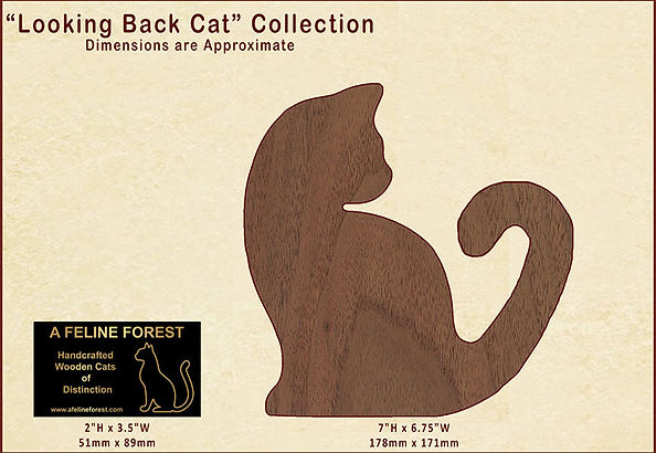 Looking Back Cat Visualizer 2.jpg