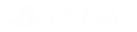 PS4 Logo White.png
