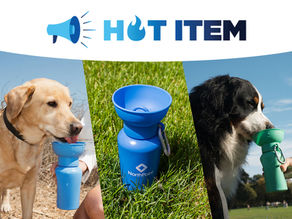 Hot Item: The Springland Pet 20oz Flip Dog Water Bottle