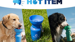 Hot Item: The Springland Pet 20oz Flip Dog Water Bottle