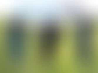 Hot Item: Lower Half Loungewear