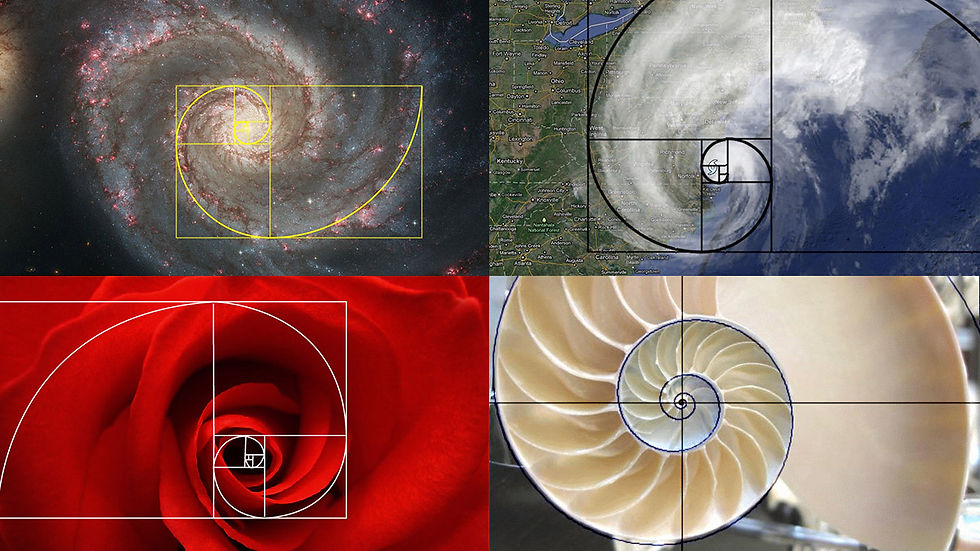 The Golden Ratio