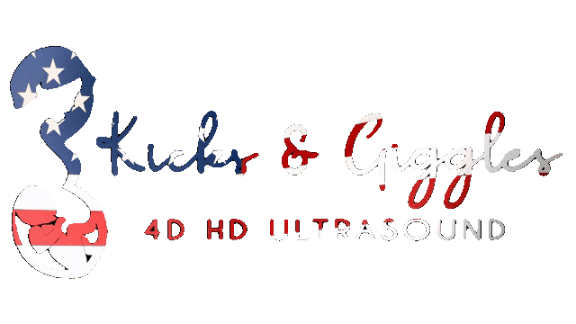 USA-Flag-Logo-Transparent-2-unscreen.gif