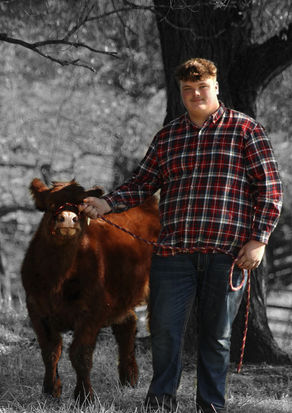 Portrait Photography - Highschool Senior with show cow
