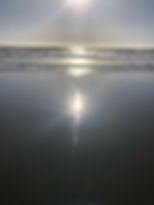 IMG_9062.jpeg