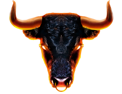 Bull3 copy1.png