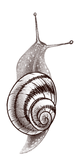 Untitled_Artwork 6_edited.png