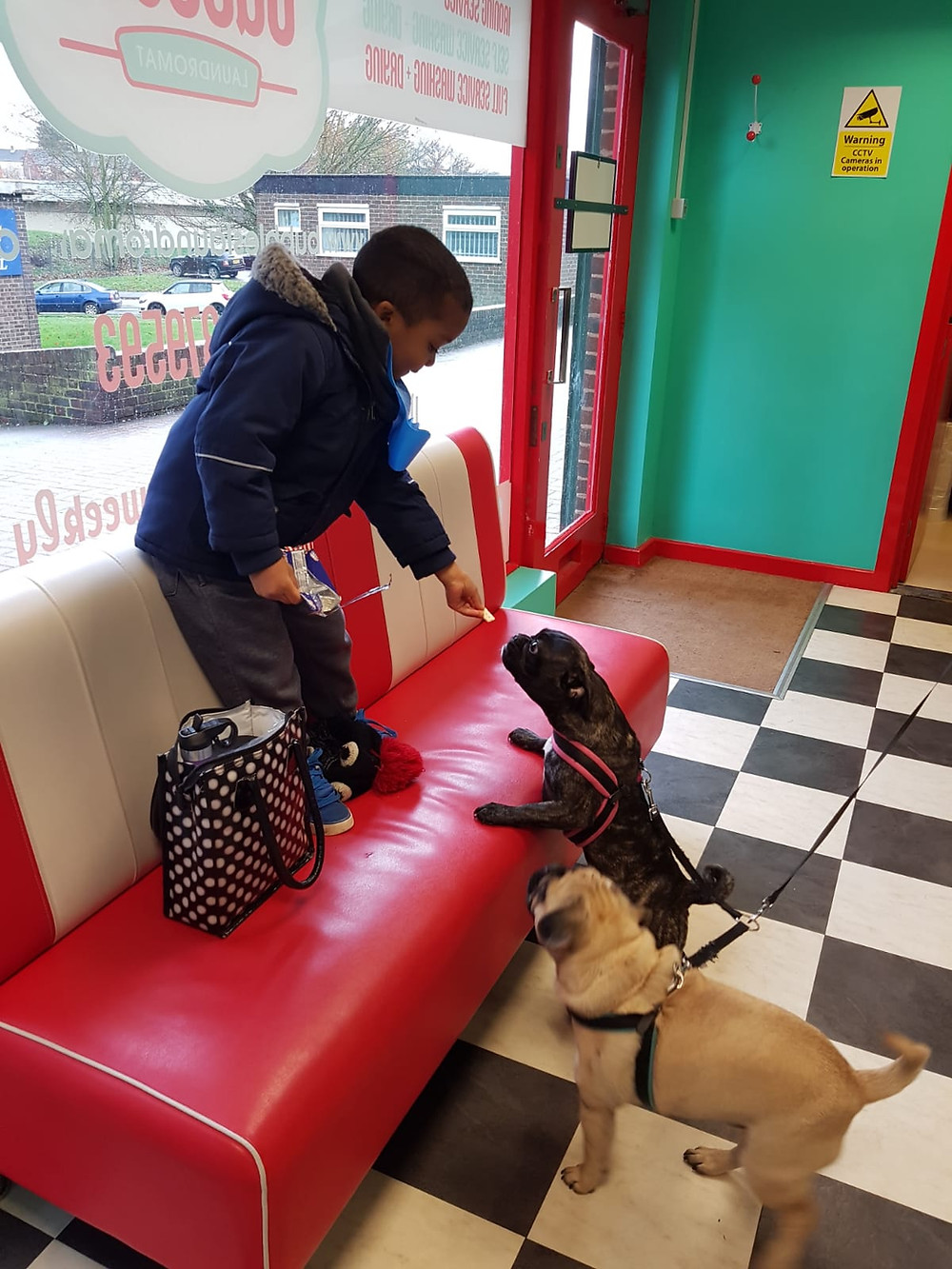 Caleb sharing his crackers with the 2 dogs.