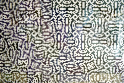 "Variation #2" Detail