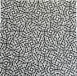 sumi design 7 date 10x10"