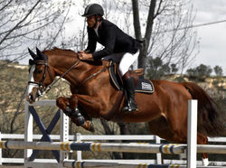 150952_403401346351361_540149653_n