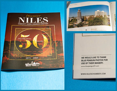Niles Cover.jpg