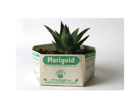 Package design, graphic design