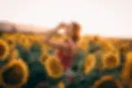 image-asset.jpeg.webp