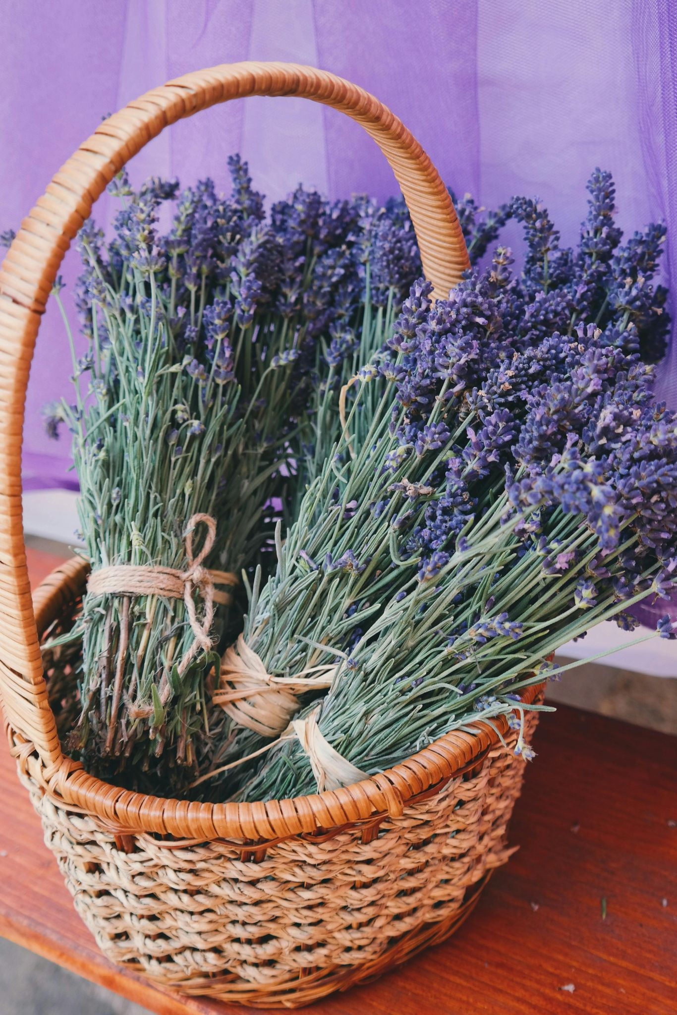 Lavender bouquet