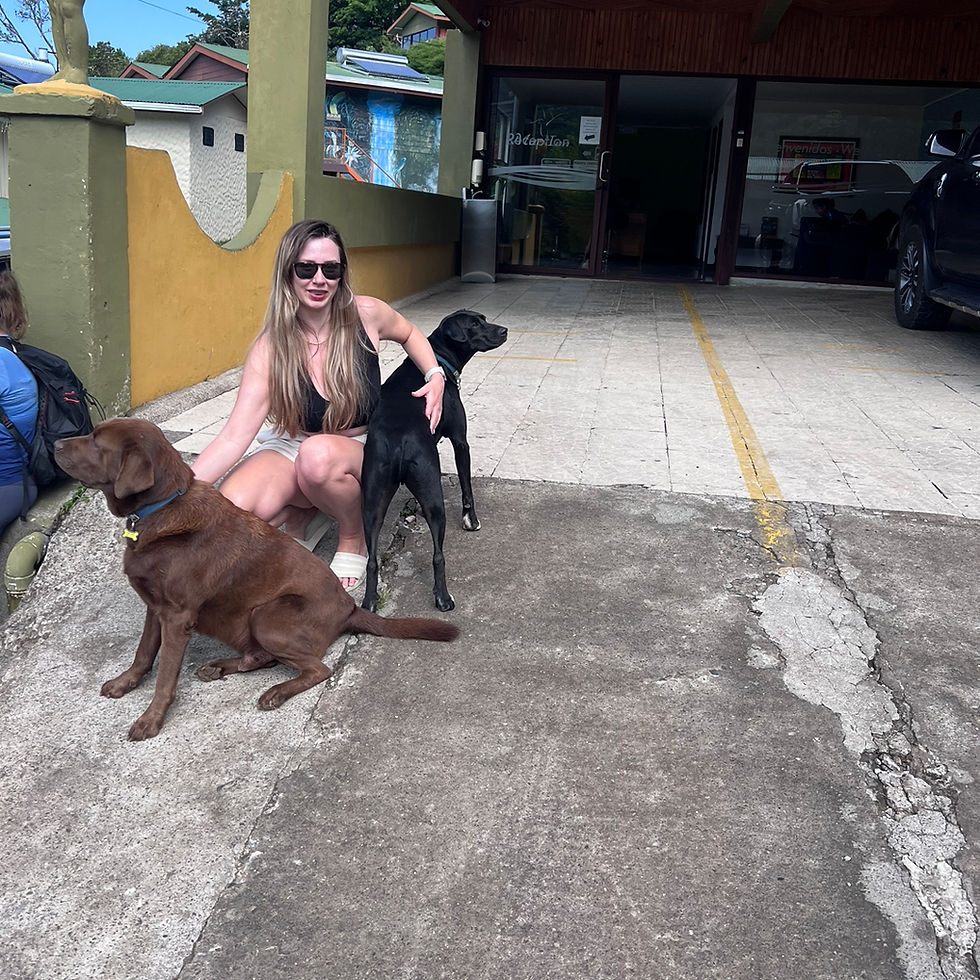 Discover The London Leash: East London’s Personalised Dog Walking & Training Service