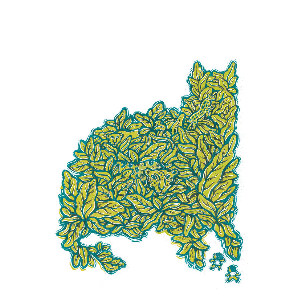 Premio Fundación Cuatrogatos 2021