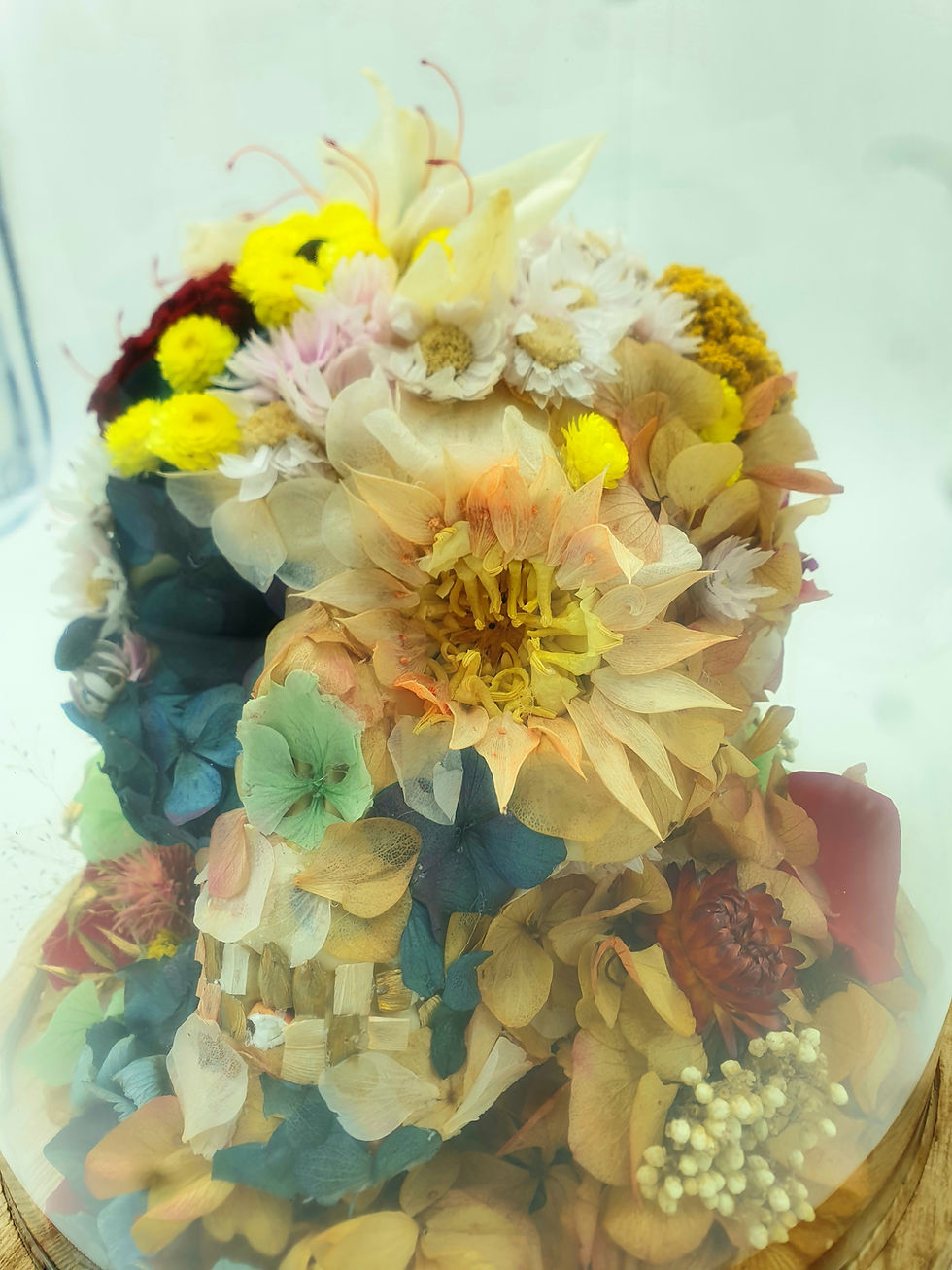 Miniature : Crâne floral sous cloche