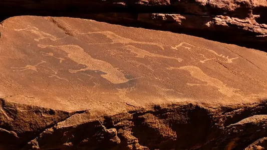 Gravures rupestres de Twyfelfontein dans les roches du Damaraland en Namibie