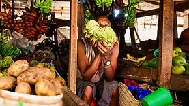 Homme au marché d’Arusha tenant une grappe de bananes avant un cours de cuisine locale en Tanzanie.