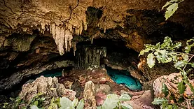 Piscine naturelle de Kuza Cave à Zanzibar dans une grotte de roche calcaire aux eaux claires.