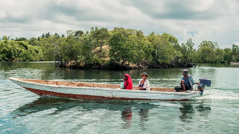 Bateau traditionnel avec habitants naviguant dans les mangroves tropicales de l’île préservée de Pemba.