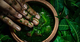 Préparation d’un soin ayurvédique aux plantes au Sri Lanka