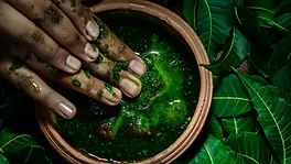 Préparation d’un soin ayurvédique aux plantes au Sri Lanka
